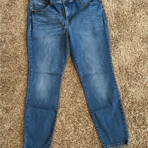 Terra & Sky Blue Skinny Jeans Classic Denim 14W petite